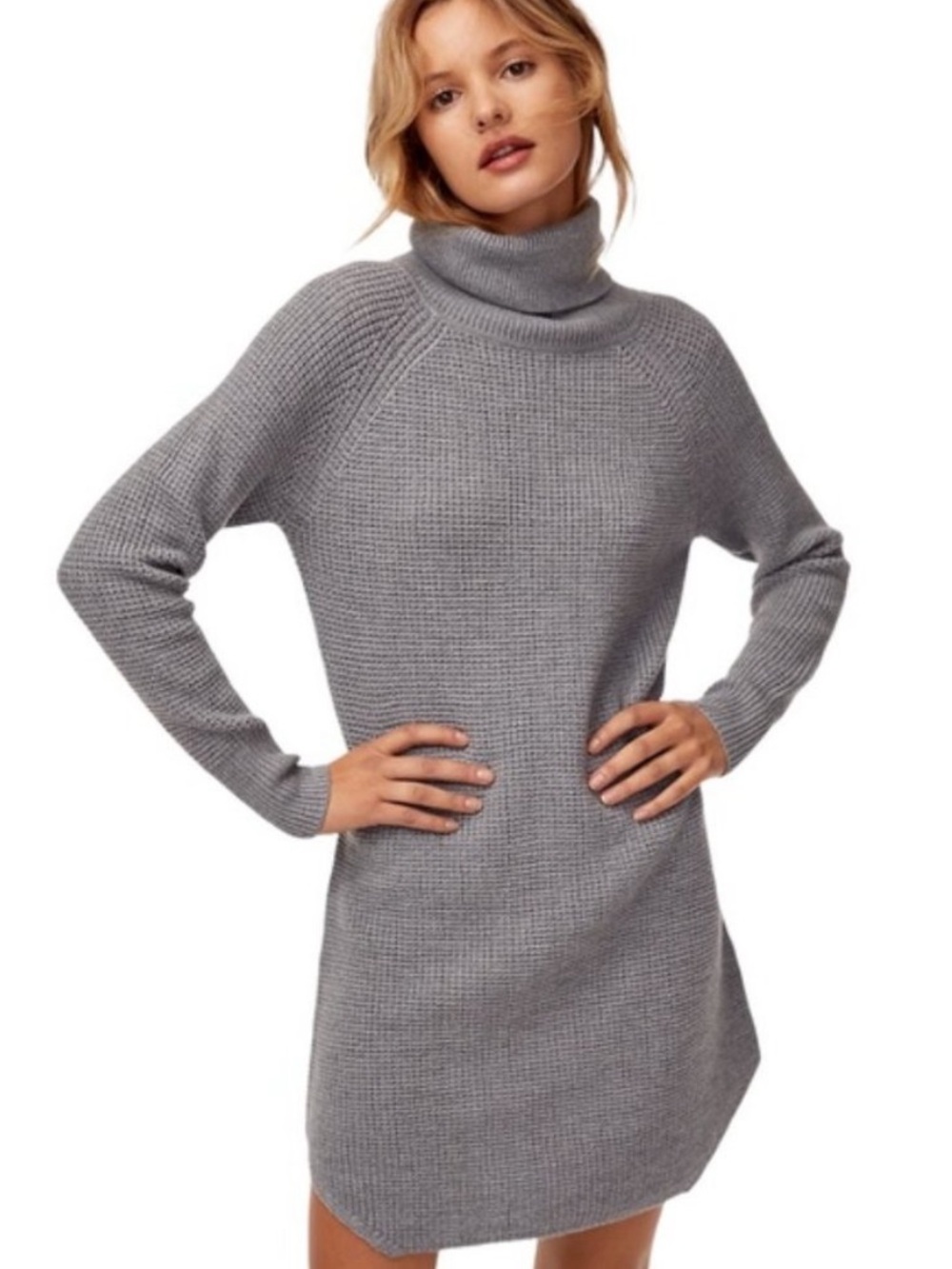 Aritzia Wilfred Free Bianca
Knit Merino Wool Sweater Dress Size XS